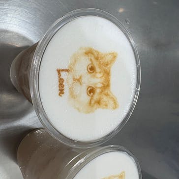 Cat Café MOFF 仙台PARCO店に投稿された画像（2025/6/6）