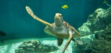 葛西臨海水族園に投稿された画像（2025/6/6）