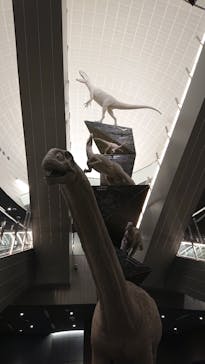 福井県立恐竜博物館に投稿された画像（2025/6/6）