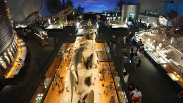 福井県立恐竜博物館に投稿された画像（2025/6/6）