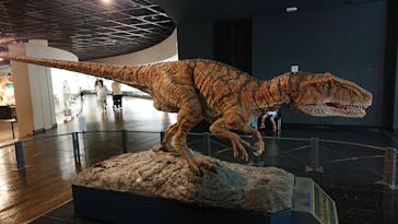福井県立恐竜博物館に投稿された画像（2025/6/6）
