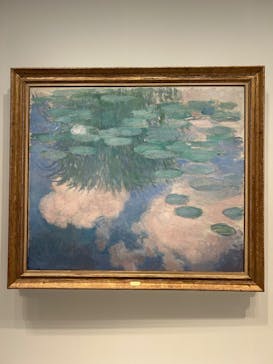 モネ　睡蓮のときに投稿された画像（2025/6/7）