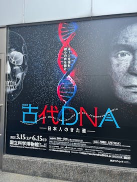 特別展「古代DNA－日本人のきた道」（国立科学博物館）に投稿された画像（2025/6/7）
