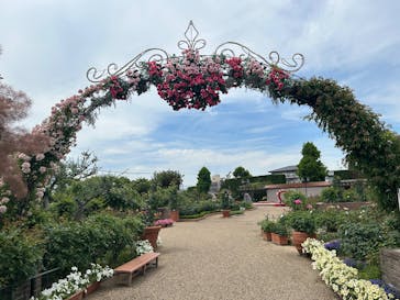 ひらかたパークに投稿された画像（2025/6/7）