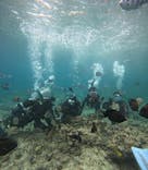 沖縄マリンサービス碧に投稿された画像（2025/6/7）