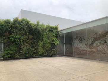 金沢21世紀美術館に投稿された画像（2025/6/7）