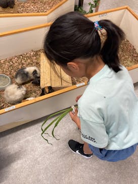 アニタッチ 東京ドームシティに投稿された画像（2025/6/7）