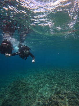 武藤潜水に投稿された画像（2025/6/7）