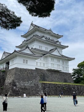 小田原城に投稿された画像（2025/6/7）