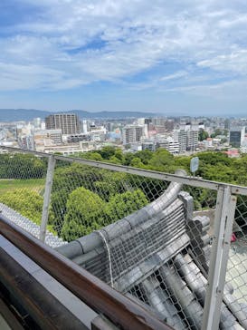 小田原城に投稿された画像（2025/6/7）