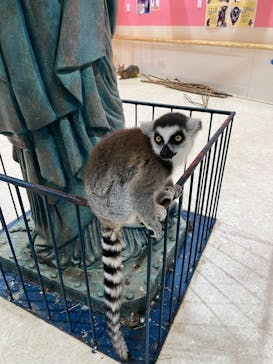 アニタッチアクアシティお台場に投稿された画像（2025/6/7）