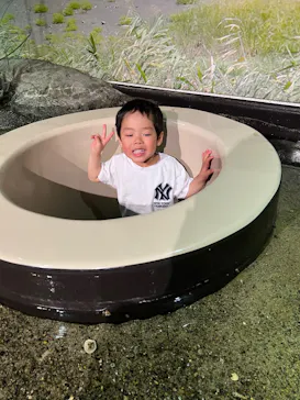 仙台うみの杜水族館に投稿された画像（2025/6/7）