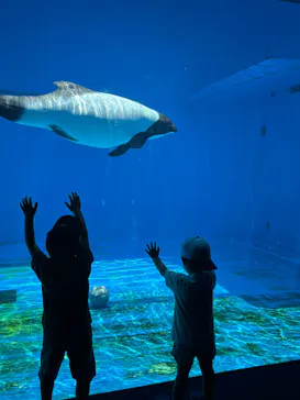 仙台うみの杜水族館に投稿された画像（2025/6/7）