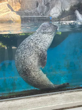 仙台うみの杜水族館に投稿された画像（2025/6/7）