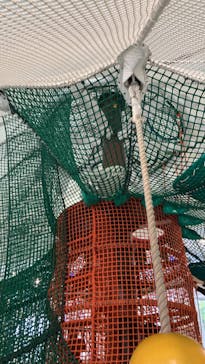 京王あそびの森HUGHUGに投稿された画像（2025/6/7）