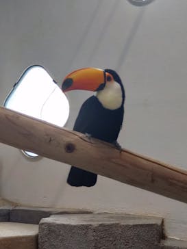 NIFREL（ニフレル）に投稿された画像（2025/6/7）