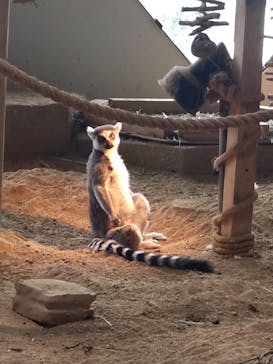 NIFREL（ニフレル）に投稿された画像（2025/6/7）