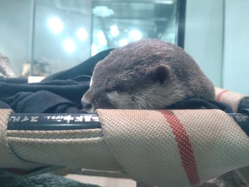 NIFREL（ニフレル）に投稿された画像（2025/6/7）