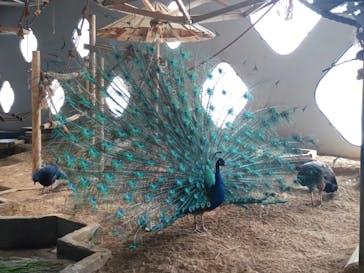 NIFREL（ニフレル）に投稿された画像（2025/6/7）