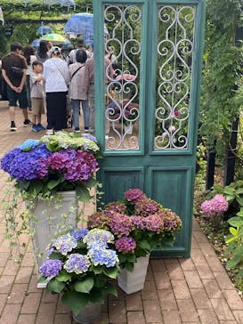 横浜イングリッシュガーデンに投稿された画像（2025/6/7）