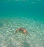 OCEAN LIFE 宮古島に投稿された画像（2025/6/7）