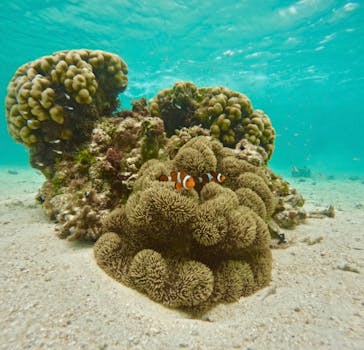 OCEAN LIFE 宮古島に投稿された画像（2025/6/7）