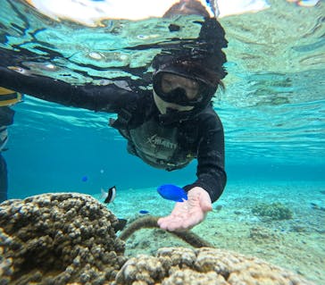 OCEAN LIFE 宮古島に投稿された画像（2025/6/7）