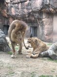 天王寺動物園に投稿された画像（2025/6/7）