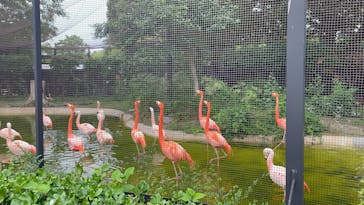 天王寺動物園に投稿された画像（2025/6/7）