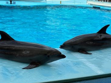 南知多ビーチランド＆南知多おもちゃ王国に投稿された画像（2025/6/7）