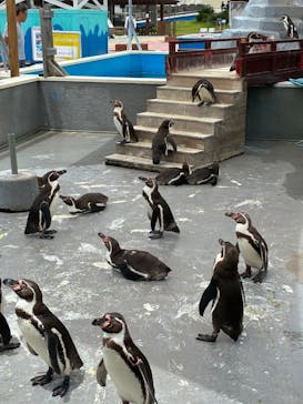 南知多ビーチランド＆南知多おもちゃ王国に投稿された画像（2025/6/7）