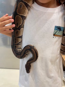 Moff animal cafe イオンモール名取店に投稿された画像（2025/6/7）