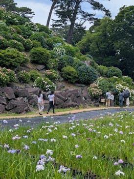 小田原城に投稿された画像（2025/6/7）