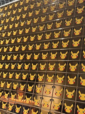 ポケモン×工芸展－美とわざの大発見－に投稿された画像（2025/6/7）