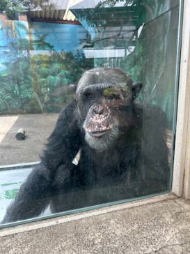 伊豆シャボテン動物公園に投稿された画像（2025/6/7）