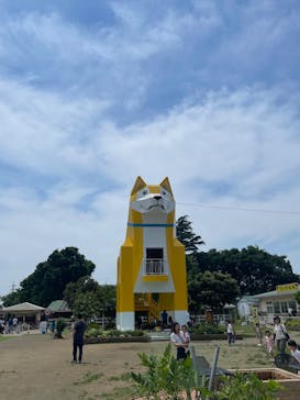 つくばわんわんランドに投稿された画像（2025/6/7）