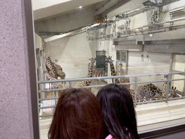 東京動物園協会_多摩動物公園に投稿された画像（2025/6/7）