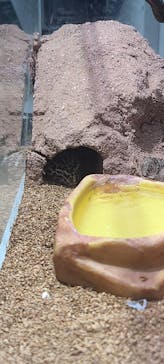 AOAO SAPPOROに投稿された画像（2025/6/7）