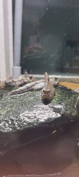 AOAO SAPPOROに投稿された画像（2025/6/7）