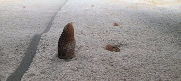 AOAO SAPPOROに投稿された画像（2025/6/7）