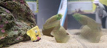 AOAO SAPPOROに投稿された画像（2025/6/7）