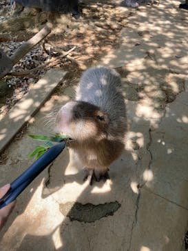 横浜・八景島シーパラダイスに投稿された画像（2025/6/7）