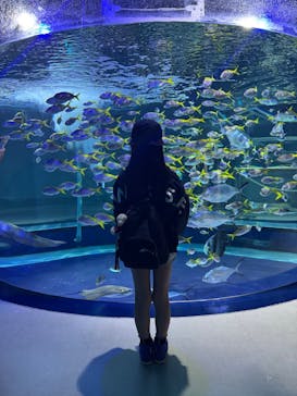 AQUARIUM × ART　atoa×felissimo chocolate museum（フェリシモ チョコレート ミュージアム）に投稿された画像（2025/6/7）