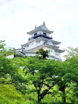 掛川城に投稿された画像（2025/6/7）