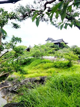 掛川城に投稿された画像（2025/6/7）