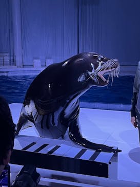 アクアワールド茨城県大洗水族館に投稿された画像（2025/6/7）