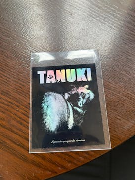 地球のお宝大集合！博物マニアに投稿された画像（2025/6/7）