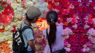 沖縄金魚ミュージアムに投稿された画像（2025/6/7）