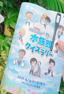 サンシャイン水族館に投稿された画像（2025/6/7）