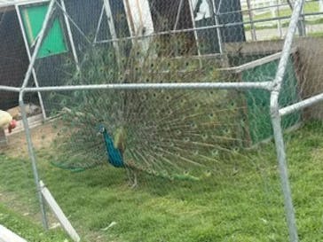 滋賀農業公園ブルーメの丘に投稿された画像（2025/6/7）